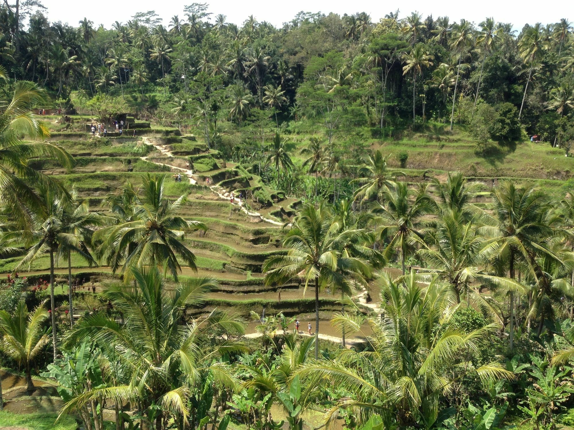 Ferienwohnung Mano House Ubud Exterior foto